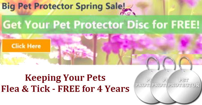 Big Pet Protector Spring Sale - SALE EXTENDED!