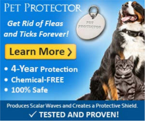FLEA AND TICK DISC FAQS