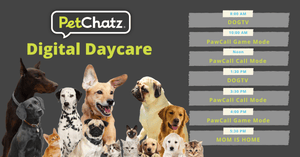 Petchatz - Doggy Daycare at Home by Remote
