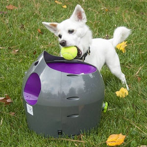 Automatic Ball Thrower for Dogs