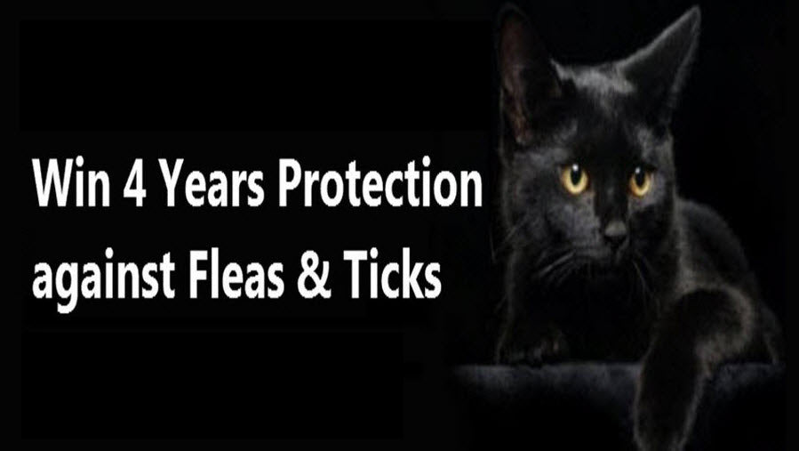 WIN! 4 Years Protection Against Fleas & Ticks
