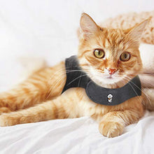 Orange cat wearing Thundershirt calming jacket, promoting anxiety relief on cozy bed.