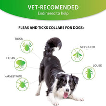 Vet-recommended flea and tick collars for dogs, highlighting protection against various parasites.