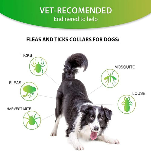 Vet-recommended flea and tick collars for dogs, highlighting protection against various parasites.