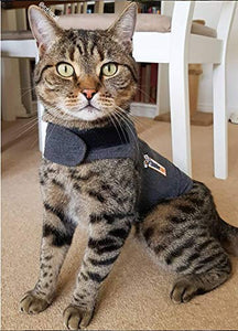 Tabby cat wearing a Thundershirt calming jacket in heather grey, designed to relieve anxiety and stress.