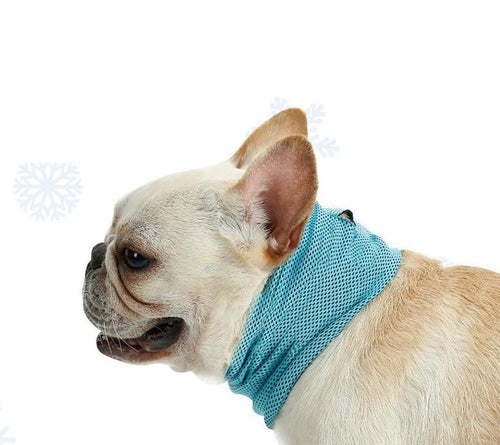 Dog Instant Cooling Bandana, Breathable Pet Scarf Cooling Collar for Dogs, Ice Towels for Bulldog, Cats Ice Collar in Summer, Cooling Towel Neck Wrap for Dogs with Leash Hole (Blue, L)