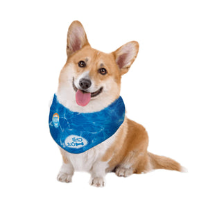 ALL FOR PAWS Chill Out Dog Ice Bandana, Instant Cooling Pet Bandana, Breathable Scarf Dog Cat Ice Collar for Summer, Small(11.8-14.4 inches)