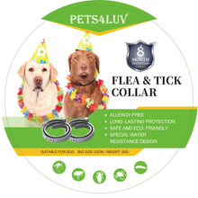 Pets4Luv flea and tick collar for dogs, offering 8 months of allergy-free protection, eco-friendly design.