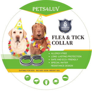 Pets4Luv flea and tick collar for dogs, offering 8 months of allergy-free protection, eco-friendly design.