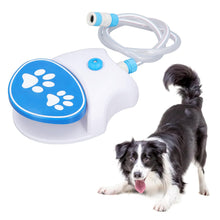 Outdoor Step-On Dog Water Fountain - Auto Sprinkler and Activated Dispenser With Hose for Cats and Dogs