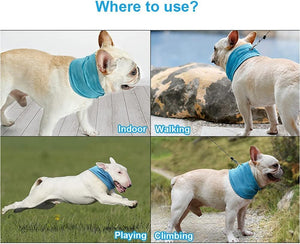 Dog Instant Cooling Bandana, Breathable Pet Scarf Cooling Collar for Dogs, Ice Towels for Bulldog, Cats Ice Collar in Summer, Cooling Towel Neck Wrap for Dogs with Leash Hole (Blue, L)
