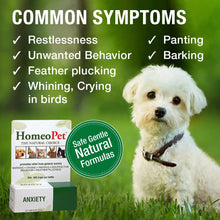HomeoPet Australia Anxiety product with symptoms like restlessness and unwanted behavior alongside a cute white dog.