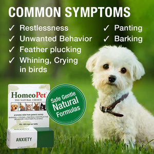 HomeoPet Australia Anxiety product with symptoms like restlessness and unwanted behavior alongside a cute white dog.