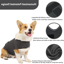 Dog wearing dark gray anxiety jacket featuring self-adhesive Velcro, reflective stripe, and soft polyester material.