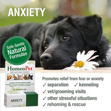 HomeoPet Anxiety for pets, promoting calm for fearful behaviors and stressful situations in dogs and cats.