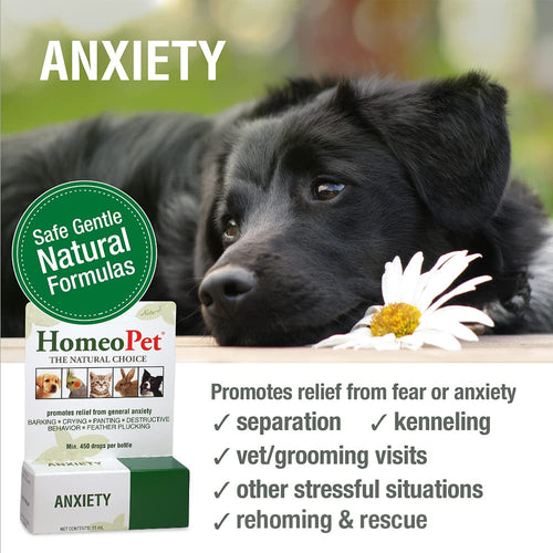 HomeoPet Anxiety for pets, promoting calm for fearful behaviors and stressful situations in dogs and cats.