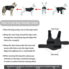 Instructions on how to use a dog anxiety jacket, featuring multiple dogs wearing the vest.