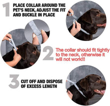 Instructions for fitting Pets4Luv flea collar on a dog for optimal protection and comfort.