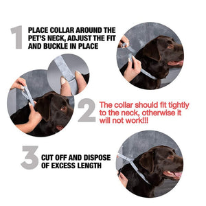 Instructions for fitting Pets4Luv Flea and Tick Collar on a dog's neck for optimal protection.