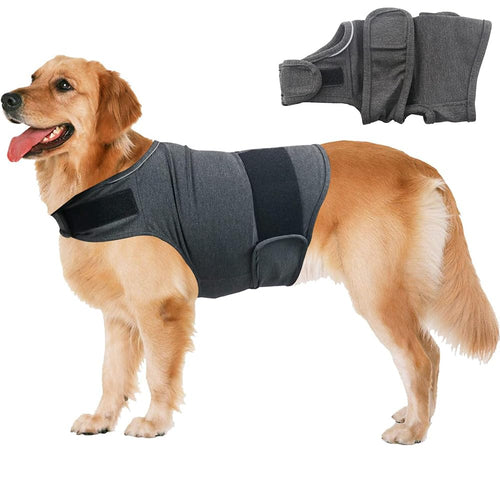 Dog wearing a dark gray anxiety jacket designed to calm pets during loud noises and stressful situations.