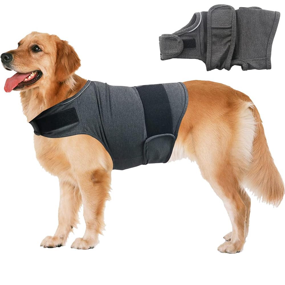 Dog wearing a dark gray anxiety jacket designed to calm pets during loud noises and stressful situations.
