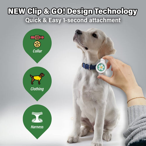 Dog with Clip & Go design technology for easy attachment to collars, clothing, and harnesses.