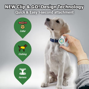 Dog with Clip & Go design technology for easy attachment to collars, clothing, and harnesses.
