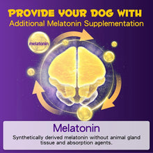 Visual representation of melatonin supplementation for dogs, highlighting its synthetic derivation and benefits.
