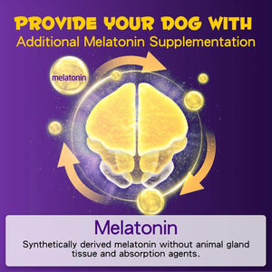 Visual representation of melatonin supplementation for dogs, highlighting its synthetic derivation and benefits.