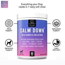 Calming Chews for Dogs, Healthy Solutions, with Ginger and Melatonin, 60 Soft Chews for anxiety and stress relief.