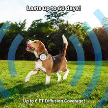 Happy dog wearing Bug-Off Clip on grass, showcasing 60 days of flea and tick protection, with 6 FT diffusion coverage.