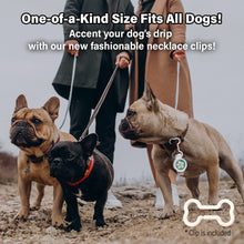 Three stylish dogs wearing fashionable necklace clips, showcasing the one-size-fits-all feature for all dogs.