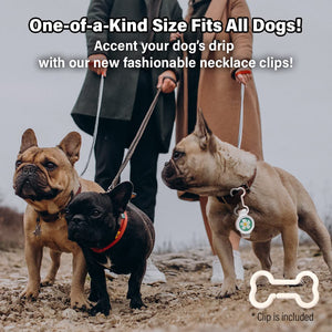 Three stylish dogs wearing fashionable necklace clips, showcasing the one-size-fits-all feature for all dogs.