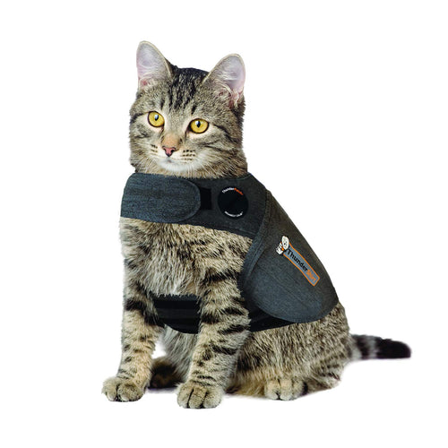 Thundershirt cat calming jacket in heather grey, medium size, worn by a tabby cat, designed to reduce anxiety.