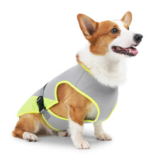 Cooling Vest for Dogs,Dog Cooling Jacket,Pet Cooling Vest,Breathable Mesh Ice Vest Adjustable Straps Cool Vest for Small Medium and Large Dogs (Light Gray, M)