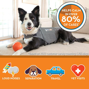 Thundershirt Grey Extra Large Anxiety Jacket helps calm dogs, effective in 80% of cases for loud noises, separation, travel, and vet visits.