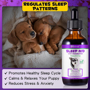 Dog sleep aid with melatonin promotes relaxation, regulates sleep patterns, and reduces stress for pets.