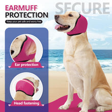 Velmoriah dog calming hoodie, rose red ear covers providing noise protection for pets at the beach.