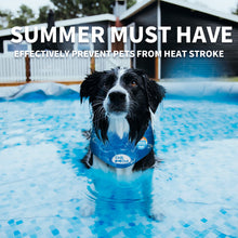 ALL FOR PAWS Chill Out Dog Ice Bandana, Instant Cooling Pet Bandana, Breathable Scarf Dog Cat Ice Collar for Summer, Small(11.8-14.4 inches)