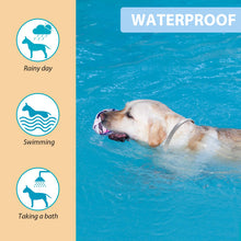 Dog swimming with a waterproof flea collar, showcasing its durability for rainy days and baths.