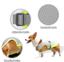 Cooling Vest for Dogs,Dog Cooling Jacket,Pet Cooling Vest,Breathable Mesh Ice Vest Adjustable Straps Cool Vest for Small Medium and Large Dogs (Light Gray, M)