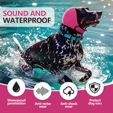 Dog wearing a pink waterproof calming hoodie while swimming, showcasing sound protection features for anxious pets.