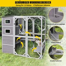 Spacious outdoor cat house with three platforms, designed for 2-6 cats, featuring multiple entry points and windows.