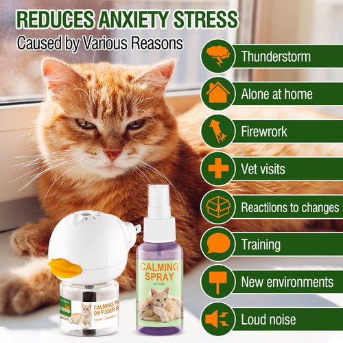 Cat calming diffuser and spray helping to reduce stress and anxiety from various triggers like storms and loud noises.