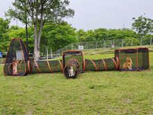 Cats playing in a portable outdoor playpen with tunnels and cubes in a grassy area.