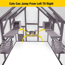 Wooden catio with bridges and sleeping caves, showcasing a cat jumping between platforms.