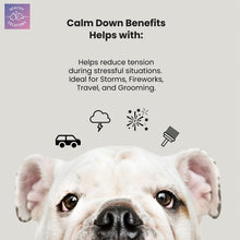 Calming chews benefits for dogs to reduce stress during storms, fireworks, travel, and grooming.