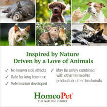 HomeoPet Australia product collage featuring serene pets, promoting natural anxiety relief and safe for long-term use.