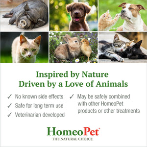 HomeoPet Australia product collage featuring serene pets, promoting natural anxiety relief and safe for long-term use.