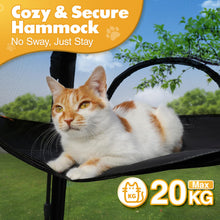 Cozy and secure cat hammock with a relaxed orange and white cat, supports up to 20 kg, perfect for indoor or outdoor use.